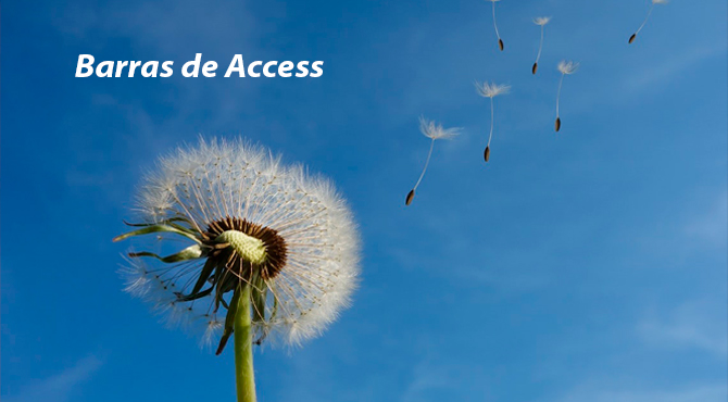 Barras de Access